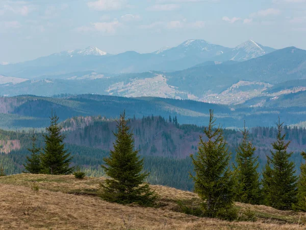 Kora Tavasszal Hegyi Hill Túrázás Piszkos Elérési Fenyő Fák Felhős — Stock Fotó