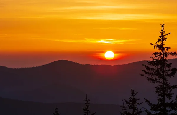春カルパティア山脈 ウクライナ ヨーロッパのカラフルな日の出風景 — ストック写真