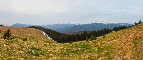 Vorfrühling Karpaten Plateau Landschaft Ukraine Europa — Stockfoto