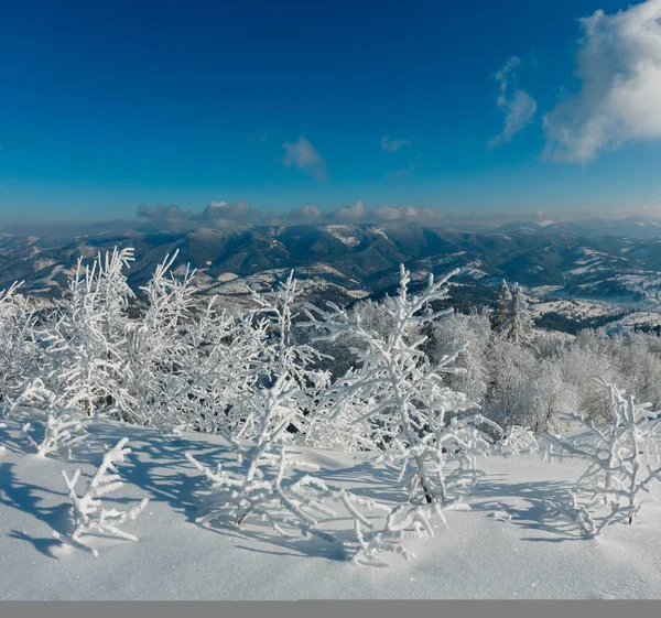 早晨冬天平静的山风景与美丽的结霜树和雪堆在倾斜 喀尔巴泰山脉 乌克兰 具有相当深度的景实度的复合图像 — 图库照片