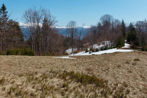 Primavera Temprana Montañas Los Cárpatos Paisaje Meseta Con Cumbres Cubiertas —  Fotos de Stock