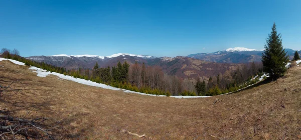 Primavera Temprana Montañas Los Cárpatos Paisaje Meseta Con Cumbres Cubiertas — Foto de Stock