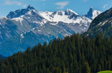 Yaz Alp dağ manzarası (warth, vorarlberg, austria).