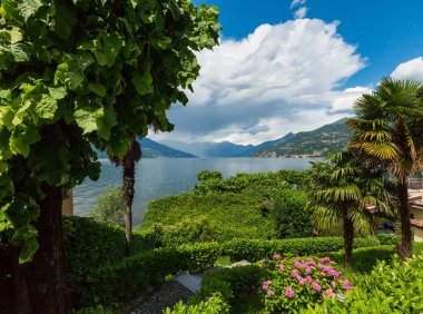 Alp Como Gölü yaz sahil görünümü (İtalya).