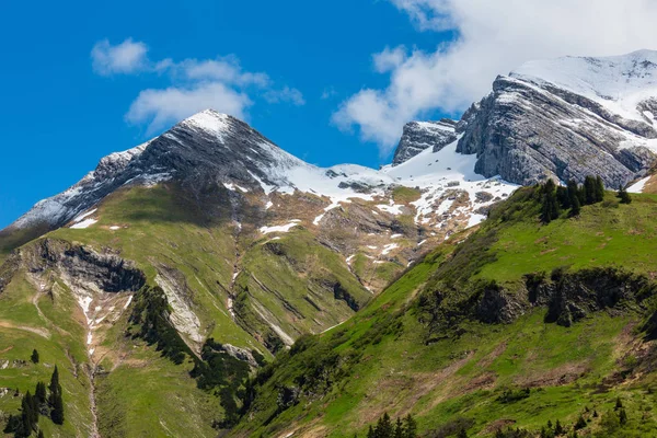 Estate Alpi Vista Montagna Warth Vorarlberg Austria — Foto Stock