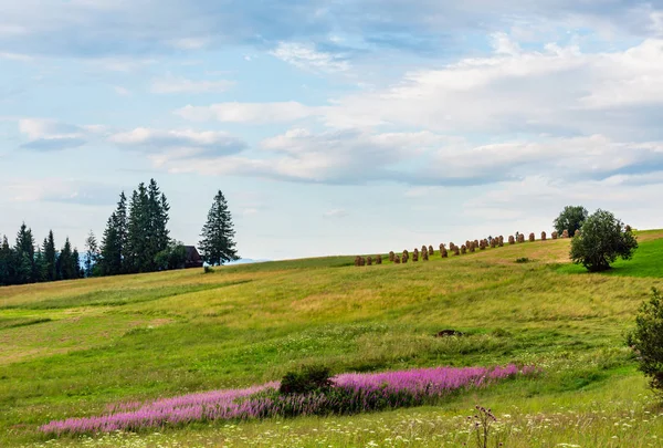 Estate Sera Villaggio Montagna Periferia Con Fiori Rosa Bianchi Pagliai — Foto Stock