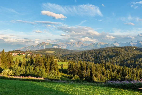 Sommerabend Bergdorf Stadtrand Mit Häusern Auf Hügel Und Tatra Gebirge — Stockfoto