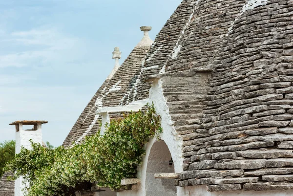 意大利南部Apulia地区Alberobello美丽的古城的主要旅游区 Trulli有屋顶 — 图库照片