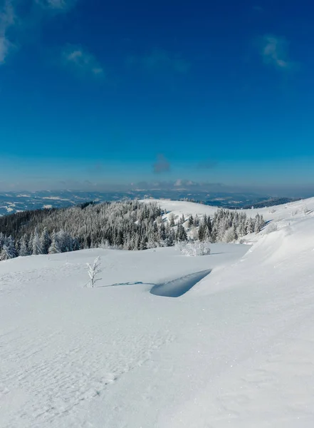 冬季平静的山景观与美丽的结霜树木和雪堆在斜坡 喀尔巴泰山脉 乌克兰 具有相当深度的景实度的复合图像 — 图库照片