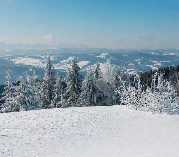 冬天平静的山风景与美丽的结霜树和雪堆在倾斜 乌克兰 — 图库照片