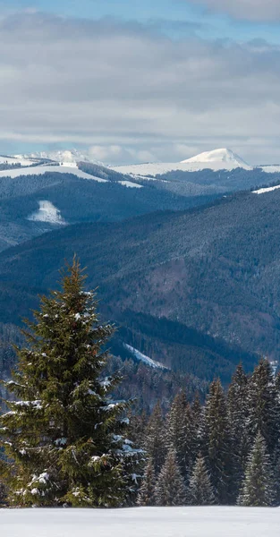 Vue Pittoresque Sur Montagne Hiver Depuis Pente Montagne Skupova Ukraine — Photo