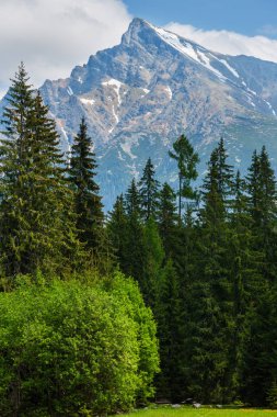 Yüksek Tatras kar manzaralı Krivan alp dağ (Slovakya bahar.)