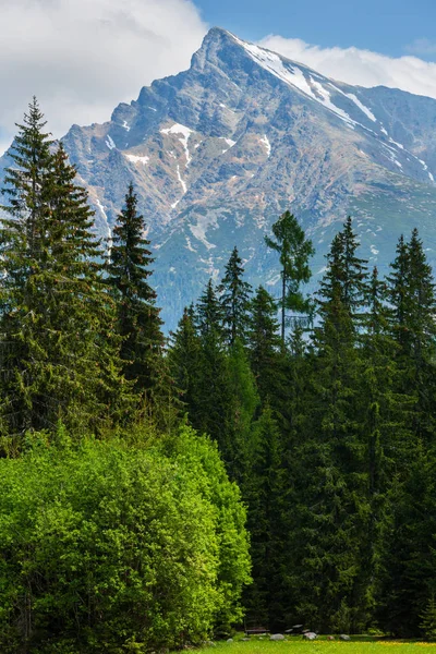 Alta Tatras Vista Primavera Com Neve Montanha Alpina Krivan Eslováquia — Fotografia de Stock