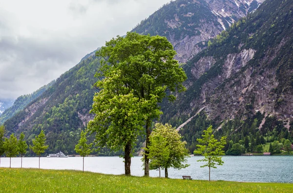 Achensee Sjön Achen Sommarlandskap Med Gröna Ängen Och Träbänk Stranden — Stockfoto