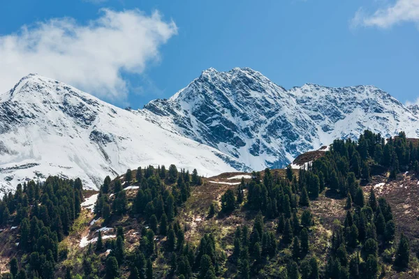 Çok Kayalık Üstleri Dağ Manzarası Yamaç Kar Köknar Ormanla Kaplı — Stok fotoğraf