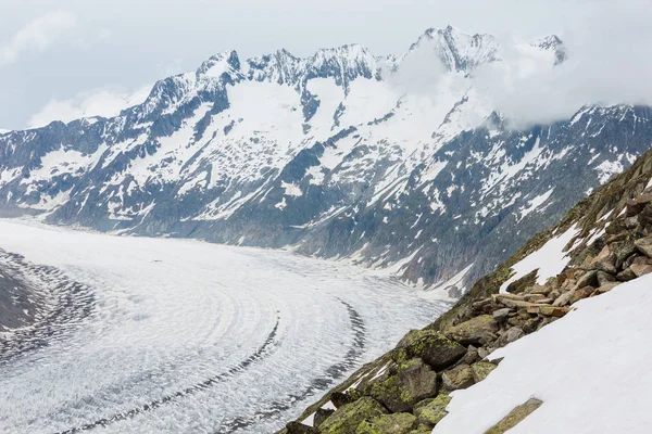 Grote Aletschgletsjer Ijs Vallen Zomer Bewolkt Weergave Bettmerhorn Zwitserland Bergen — Stockfoto