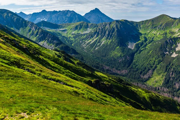 Tatra Mountain Polonia Vista Matutina Del Verano Desde Cordillera Kasprowy — Foto de Stock