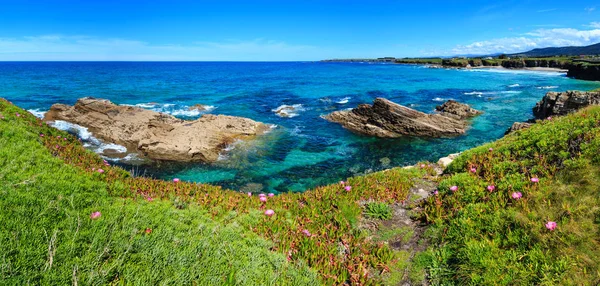 Summer Blossoming Atlantic Coastline Landscape Pink Flowers Two Beaches Xuncos — Stock Photo, Image