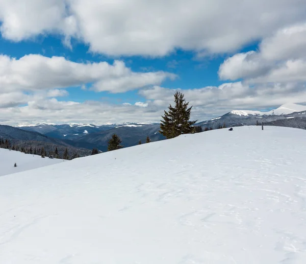 风景如画的冬山景观从斯诺德里夫特 Skupova 乌克兰 Chornohora 雪覆盖脊和 Pip 伊万山顶 喀尔巴阡山脉 — 图库照片