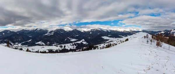 Ochtend Wintersneeuw Bedekt Landschap Pittoreske Alp Bergrug Oekraïne Karpaten Chornohora — Stockfoto