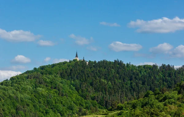 Colina Verão Verde Com Floresta Torre Igreja Topo Eslováquia — Fotografia de Stock