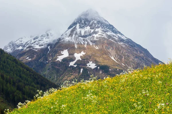 Sommar Alperna Berglandskap Med Blommande Sluttning Silvretta Alperna Österrike — Stockfoto