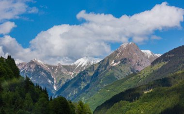 Çok kayalık üstleri dağ manzarası yamaç ve kar köknar ormanla kaplı yaz Alpler, Avusturya.