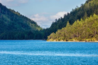 Peyzaj göl Plansee kıyı ile ahşap, Avusturya ile kaplı.