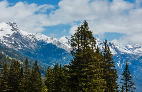 Summer Alps Mountain Landscape Fir Forest Slope Snow Covered Rocky — Stock Photo, Image