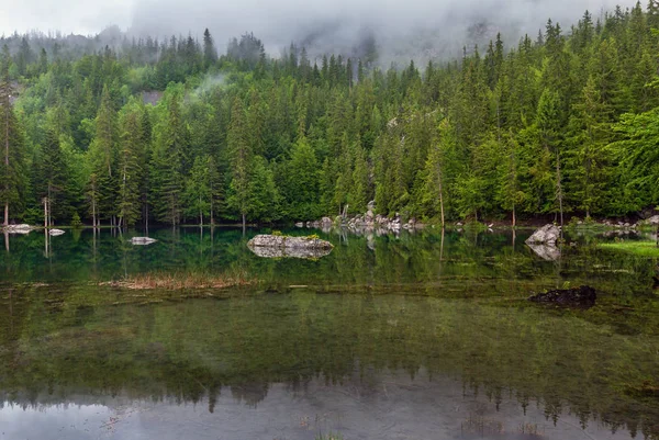 Mała Góra Las Jezioro Alpach Francuskich Letni Mglisty Poranek — Zdjęcie stockowe