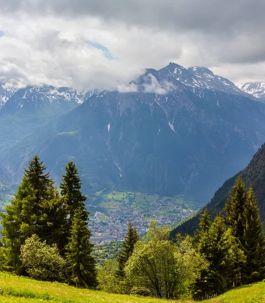 Zomer Berglandschap Van Alpen Met Gele Wilde Bloemen Grasland Helling — Stockfoto