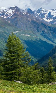 Alp dağ Passo del San Gottardo ya da St. Gotthard Pass yaz peyzaj (İsviçre).