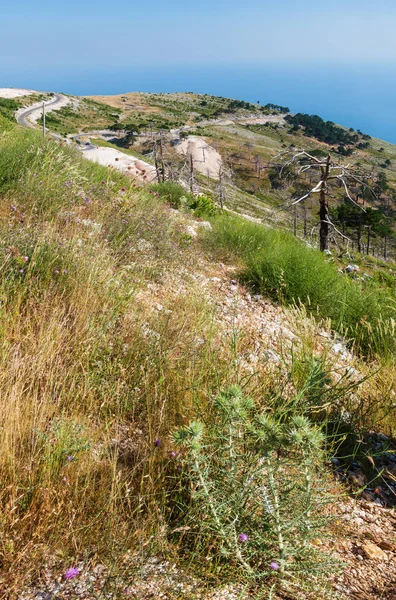 Llogara 通过看法与干燥的树和在倾斜和海水表面 阿尔巴尼亚 — 图库照片
