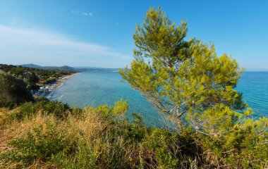 Harika kumsalda, Ege Denizi Sithonia, Halkidikya, Yunanistan.