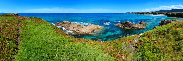 Verano Floreciente Paisaje Costero Atlántico Con Flores Rosadas Dos Playas —  Fotos de Stock