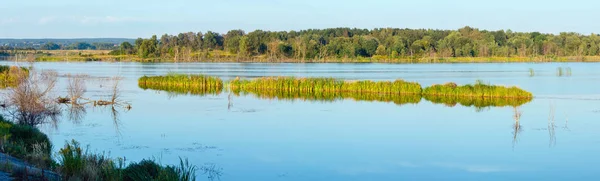 Letní Večer Jezero Krajina Rostlinami Odrazy Vodní Hladině Poblíž Shklo — Stock fotografie