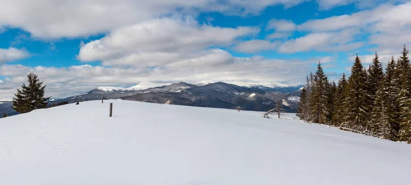 Picturesque Winter Mountain View Skupova Mountain Slope Some Withered Windbreak — Stock Photo, Image