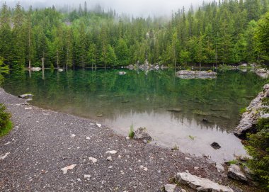 küçük dağ Orman Gölü franch Alpleri'nde (puslu yaz sabahı).
