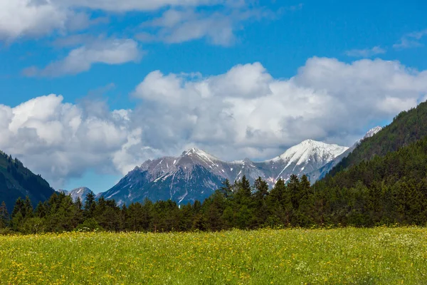 Alpes Été Paysage Montagneux Avec Forêt Sapins Sur Pente Les — Photo