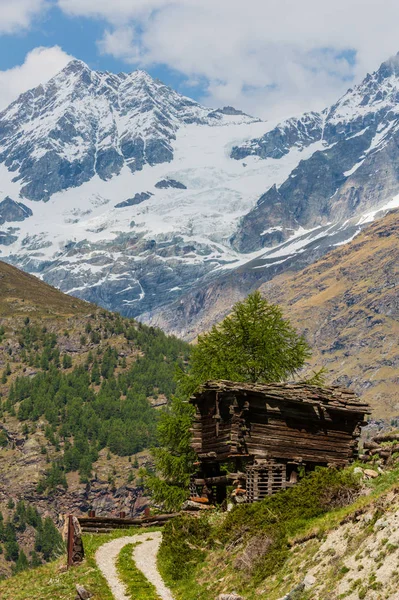 Lato Alpy Płaskowyż Drewniana Stodoła Szwajcaria Pobliżu Miejscowości Zermatt — Zdjęcie stockowe