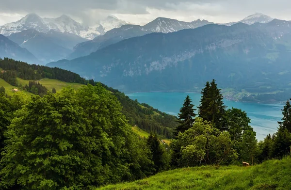 Jeziora Brienz Lub Brienzersee Wieczór Zachmurzony Lato Widok Góry Berne — Zdjęcie stockowe