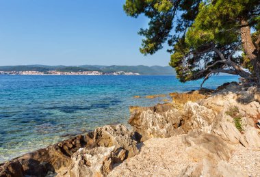 Adriyatik Denizi (Hırvatistan) ve çam ağacı kıyısında temiz masmavi su yüzeyi ile yaz taşlı kumsal.