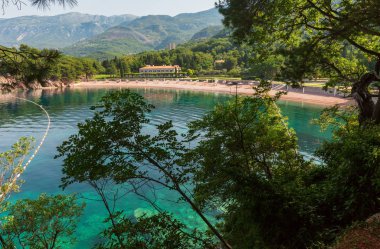 Milocher kumsal (Karadağ, Budva ağaçlarının dalları ile pembe)