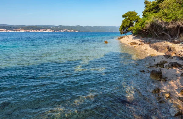 アドリア海 クロアチア と海岸の松の木のきれいな紺碧の水表面と夏石のビーチ — ストック写真