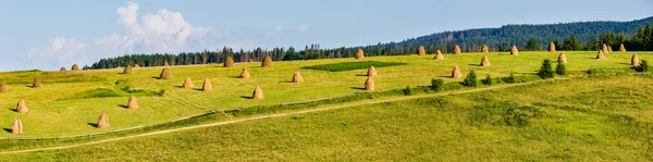 夏天山村郊区全景与干草堆在领域 喀尔巴泰 乌克兰 — 图库照片