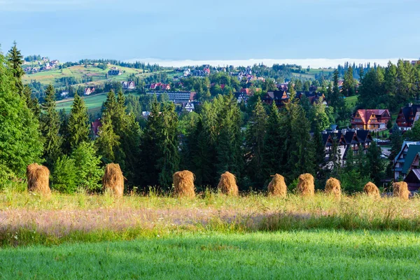 Yaz Dağ Köyü Ilçe Sınırı Ile Haystacks Polonya — Stok fotoğraf