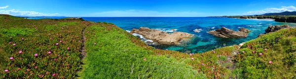Summer Blossoming Atlantic Coastline Landscape Pink Flowers Two Beaches Xuncos — Stock Photo, Image