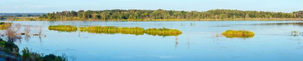 Abendliche Sommerliche Seenlandschaft Mit Pflanzenreflexionen Auf Der Wasseroberfläche Der Nähe — Stockfoto