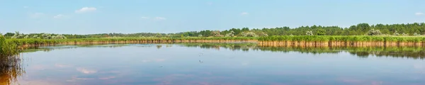 Yaz Pryschukove Koyu Kahverengi Kirmizi Iyot Gölü Ile Tedavi Etkisi — Stok fotoğraf
