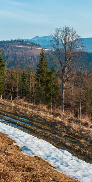 Mattina Presto Primavera Carpazi Montagne Altopiano Paesaggio Con Cime Creste — Foto Stock